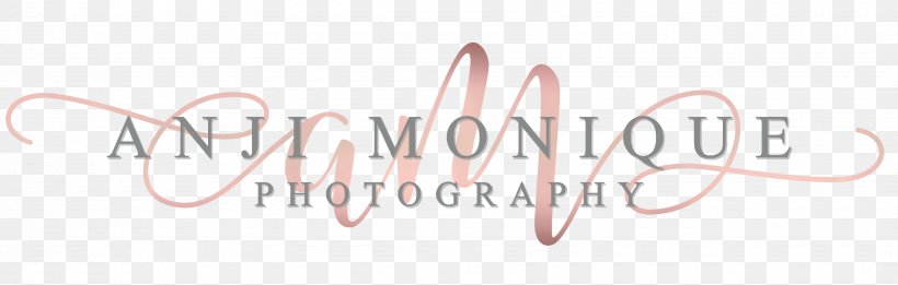 Wedding Photography Stonegate Manor Benton Harbor, PNG, 3500x1115px, Wedding, Area, Benton Harbor, Brand, Bride Download Free