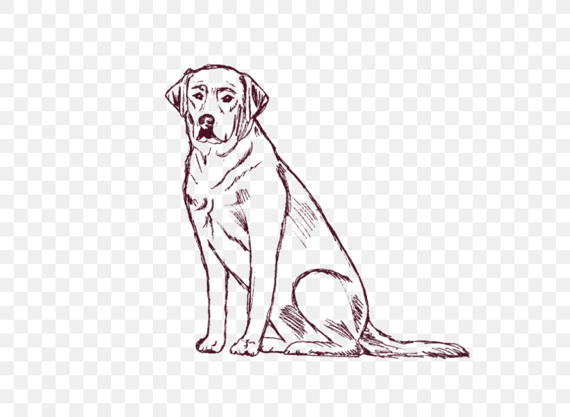 Dog Sporting Group Vizsla Drawing Hunting Dog, PNG, 600x600px, Dog, Drawing, Hunting Dog, Sporting Group, Vizsla Download Free