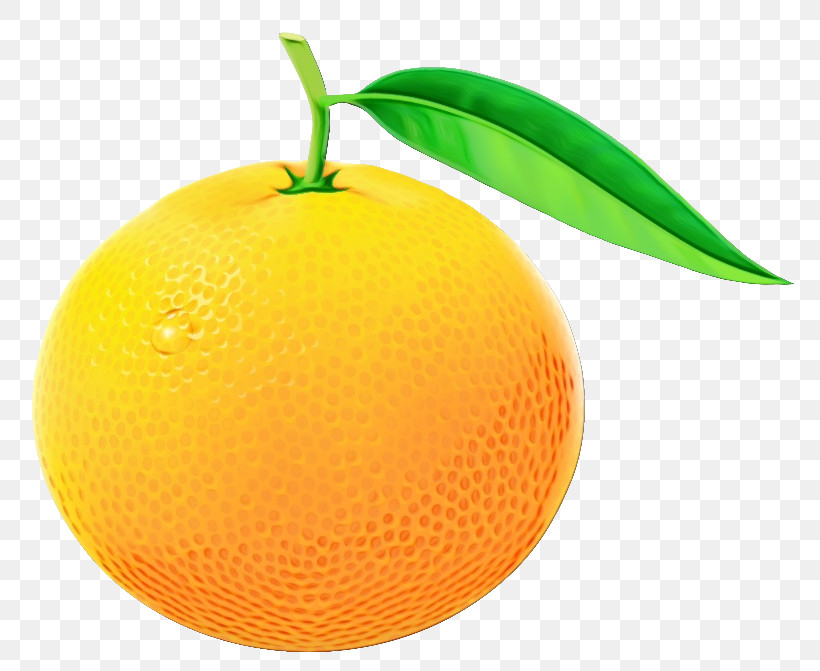 Orange, PNG, 801x671px, Watercolor, Citrus, Fruit, Grapefruit, Mandarin Orange Download Free