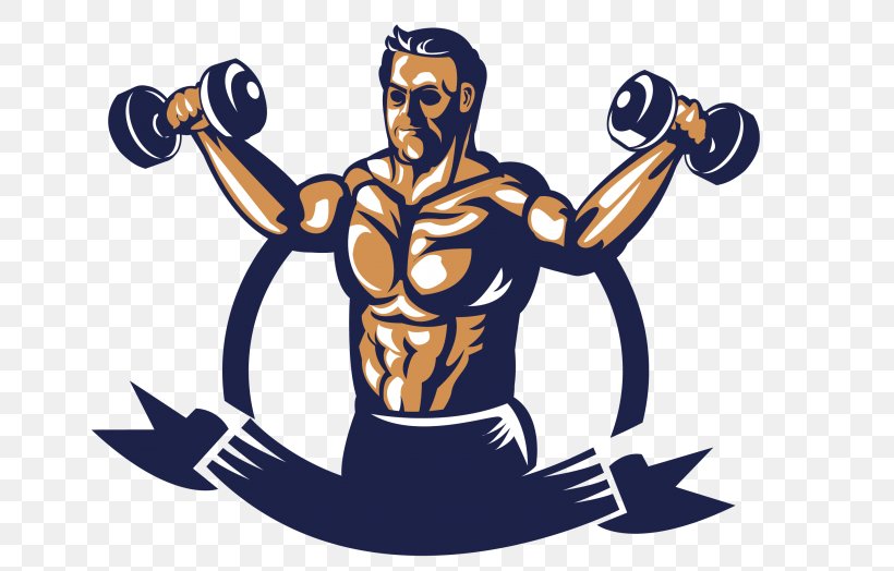 Weightlifting Bodybuilding Physical Fitness Muscle, PNG, 715x524px, Weightlifting, Bodybuilding, Muscle, Physical Fitness Download Free