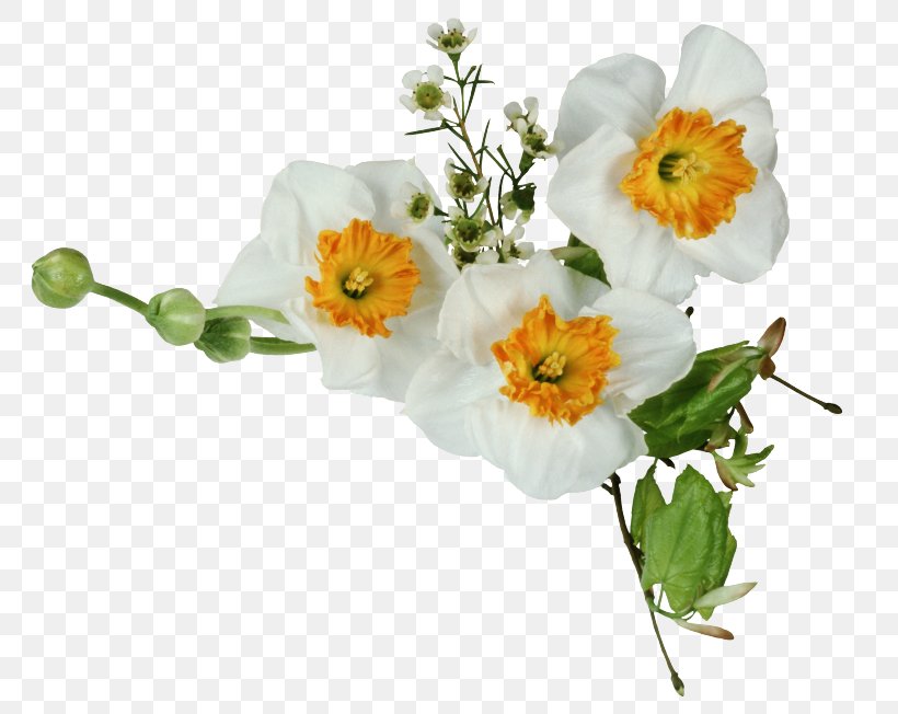 Artificial Flower, PNG, 800x652px, Flower, Anemone, Artificial Flower, Cut Flowers, Flowering Plant Download Free