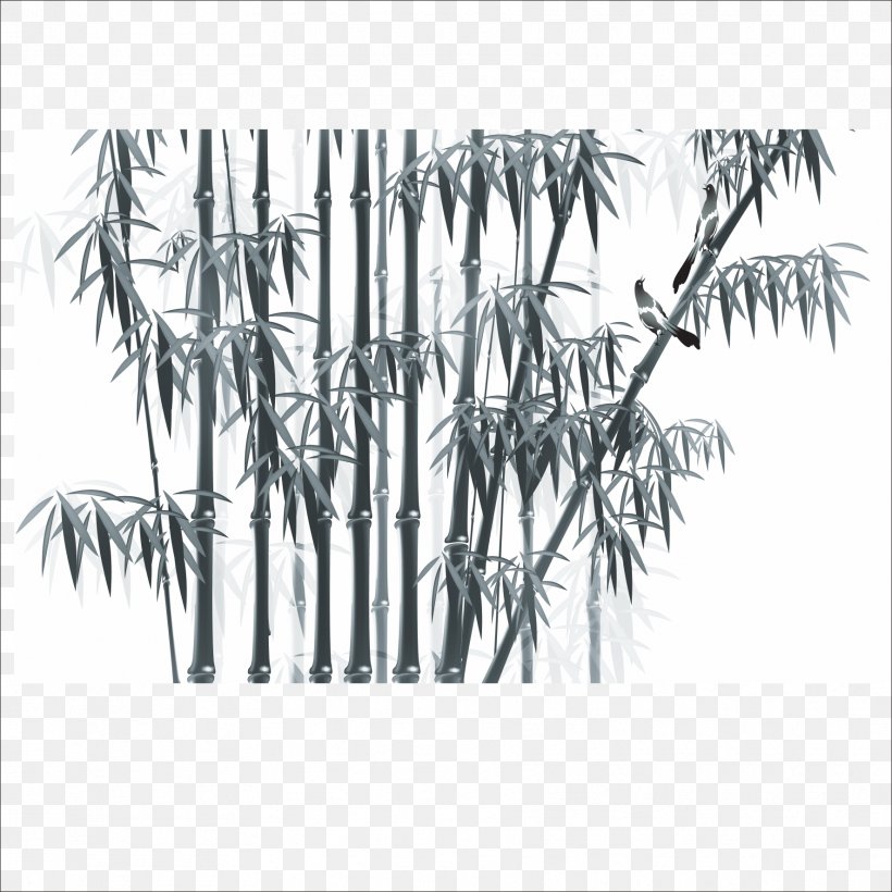 Bamboo, PNG, 1773x1773px, Bamboo, Bamboe, Black And White, Branch, Monochrome Download Free