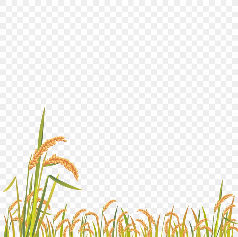 Cartoon Grass, PNG, 1181x1181px, Grasses, Animation, Computer Graphics, Grass, Grass Family Download Free
