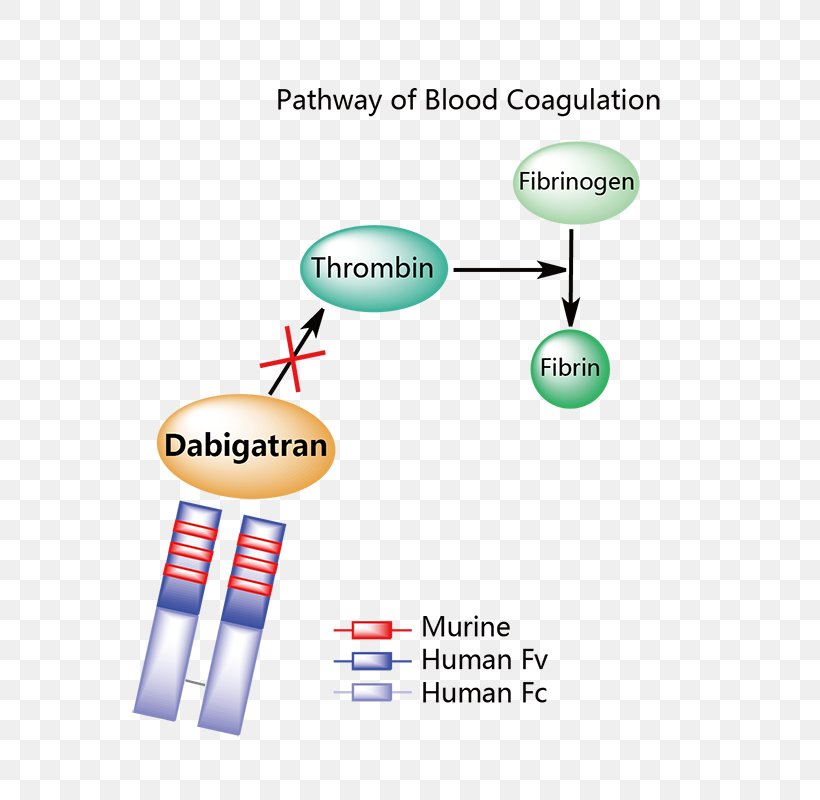 Idarucizumab Dabigatran Brand Monoclonal Antibody Logo, PNG, 800x800px, Idarucizumab, Alchetron Technologies, Antibody, Anticoagulant, Area Download Free
