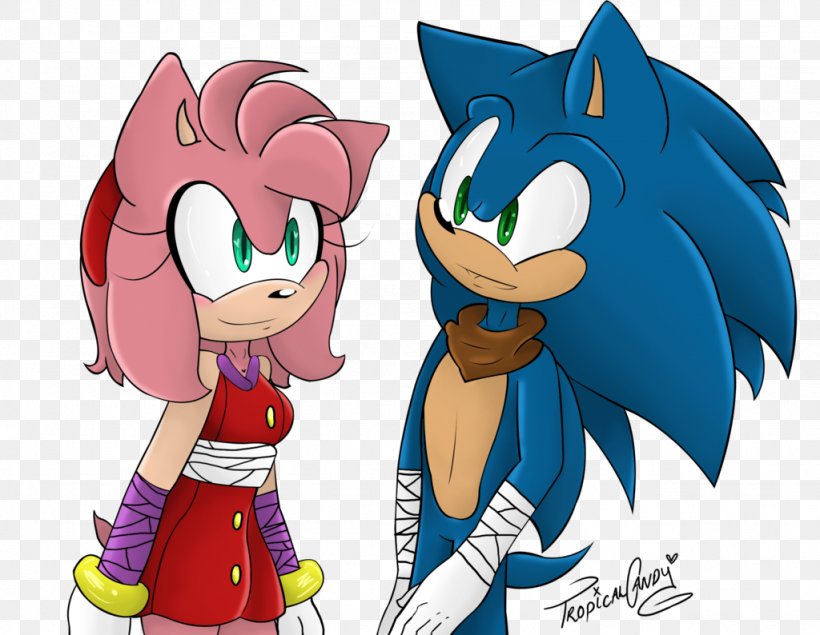 Tails Amy Rose Sonic The Hedgehog Sonic The Comic DeviantArt, PNG, 1024x794px, Watercolor, Cartoon, Flower, Frame, Heart Download Free