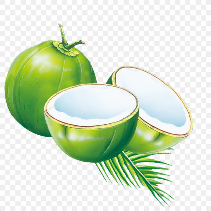 Coconut Water Coconut Milk Powder Es Kelapa Muda, PNG, 1500x1500px, Coconut Water, Apple, Arecaceae, Calorie, Ceramic Download Free