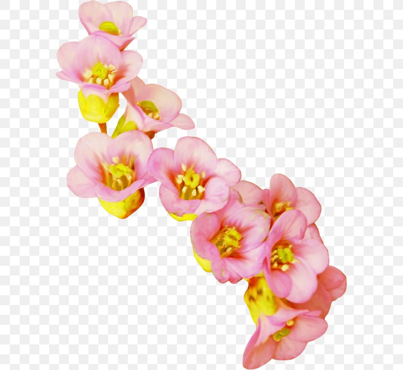 Cut Flowers Clip Art, PNG, 593x752px, Flower, Blossom, Cherry Blossom, Cut Flowers, Flowering Plant Download Free