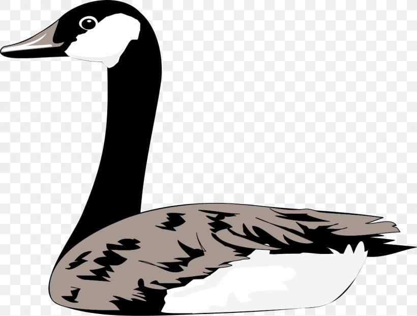 Duck Domestic Goose Cygnini Bird, PNG, 1209x917px, Duck, Beak, Bird, Black And White, Cygnini Download Free
