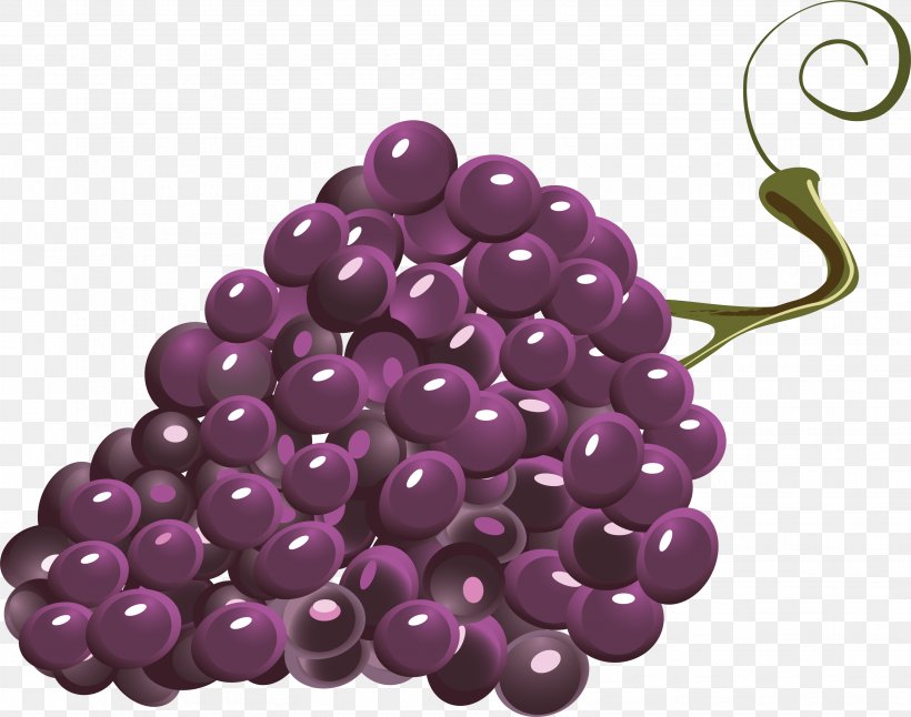 Grape YouTube Education 7 Days Of The Week Hello, PNG, 3113x2453px, 2016, Grape, Amethyst, Bead, Color Download Free