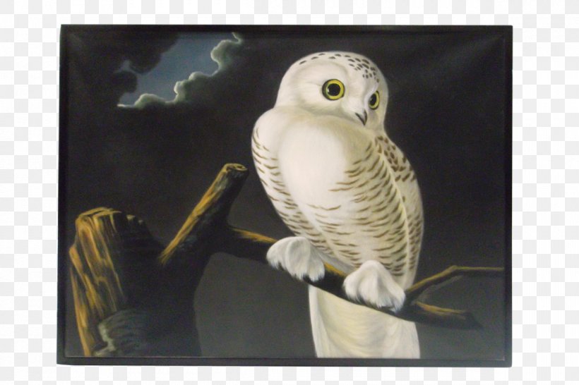 Snowy Owl Painting Beak Robert Havell, PNG, 1200x800px, Owl, Beak, Bird, Bird Of Prey, Fauna Download Free
