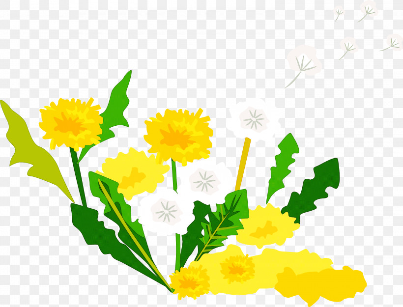Dandelion, PNG, 3000x2290px, Dandelion, Cut Flowers, Daisy Family, English Marigold, Flower Download Free