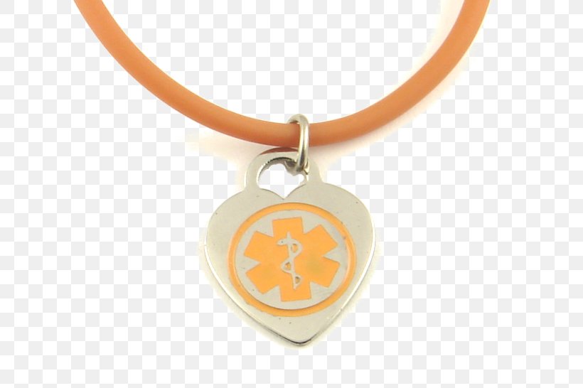 Charms & Pendants Jewellery Locket Clothing Accessories Necklace, PNG, 696x546px, Charms Pendants, Amber, Body Jewellery, Body Jewelry, Clothing Accessories Download Free