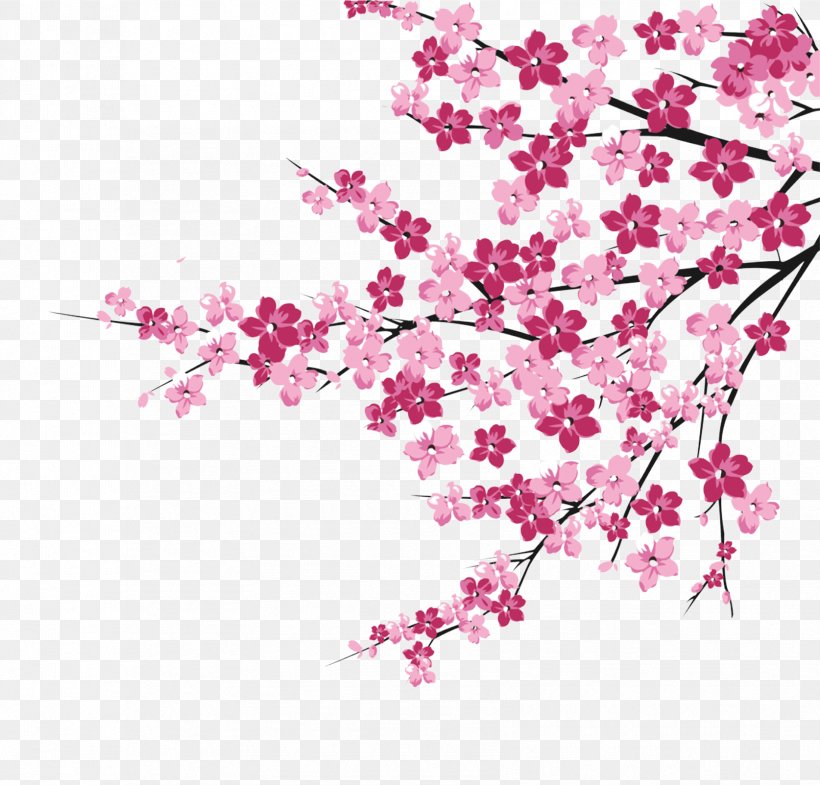 Cherry Blossom Pink, PNG, 1674x1603px, Cherry Blossom, Blossom, Branch, Cherry, Designer Download Free