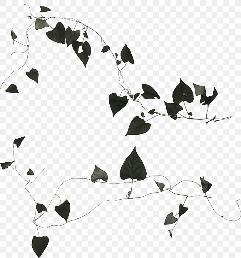 Leaf Black-and-white Stencil, PNG, 2796x3000px, Leaf, Blackandwhite, Stencil Download Free
