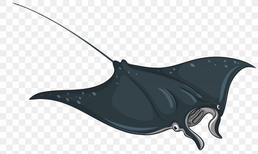 Manta Ray Stingray Rays And Skates Skate Fish, PNG, 3000x1793px, Manta Ray, Bat, Fish, Rays And Skates, Skate Download Free