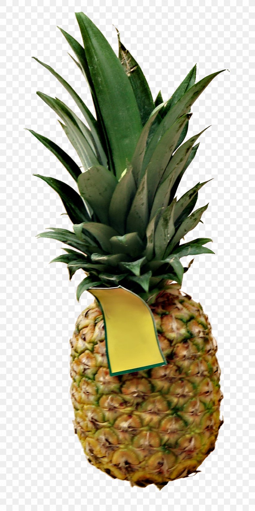 Pineapple Image Download Clip Art, PNG, 1000x2000px, Pineapple, Ananas, Animation, Black And White, Bromeliaceae Download Free