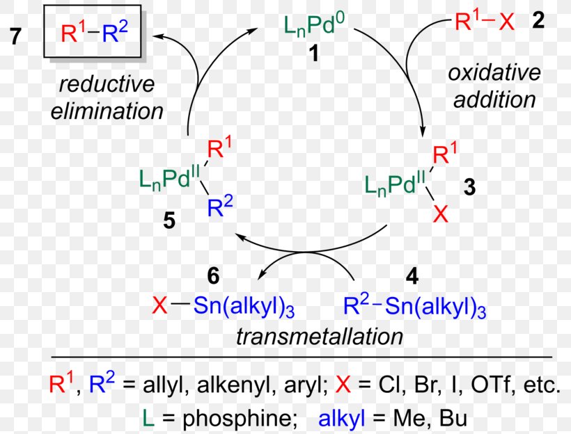 Stille Reaction Catalysis Catalytic Cycle Coupling Reaction Chemical Reaction, PNG, 800x624px, Stille Reaction, Allyl Group, Area, Aryl, Aryl Halide Download Free