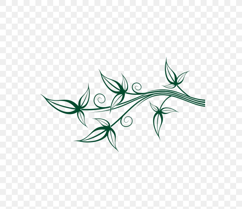 Twig Plant Stem Leaf Flower Clip Art, PNG, 570x708px, Twig, Branch, Flora, Flower, Grass Download Free