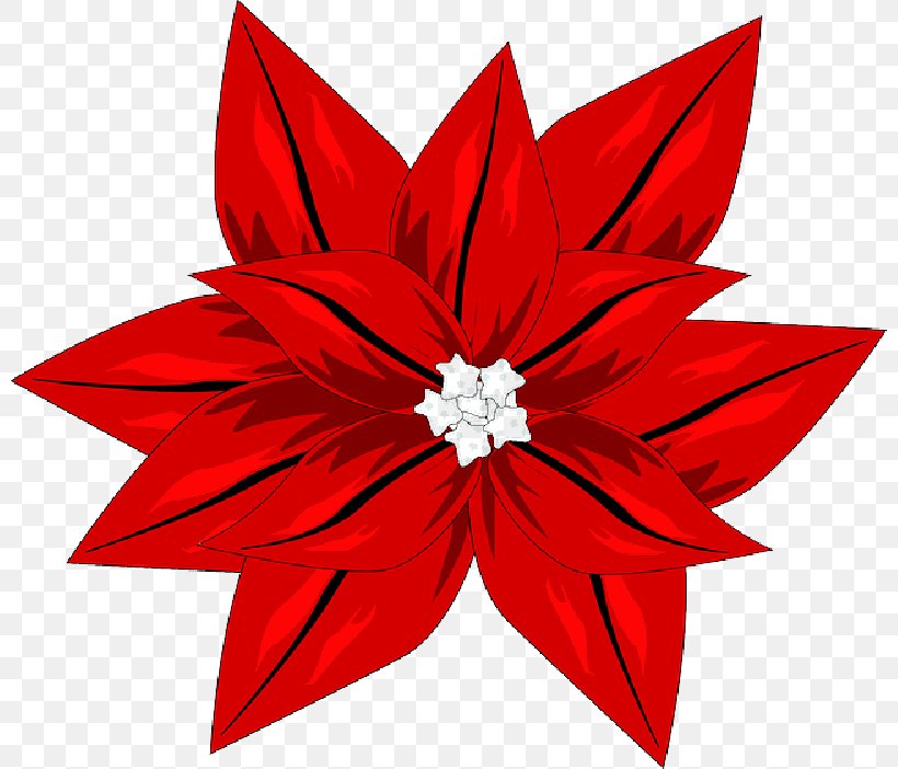 Clip Art Christmas Poinsettia Vector Graphics Free Content, PNG, 800x702px, Poinsettia, Carmine, Christmas Day, Clip Art Christmas, Flower Download Free