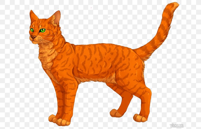 Kitten Whiskers Warriors Domestic Short-haired Cat, PNG, 700x528px, Kitten, American Wirehair, Animal Figure, Book, Brambleclaw Download Free