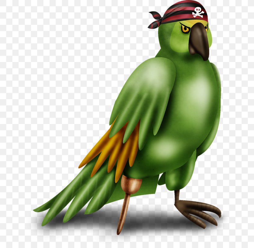 Bird Parakeet Macaw Cartoon, PNG, 672x800px, Bird, Beak, Cartoon, Chicken, Drawing Download Free