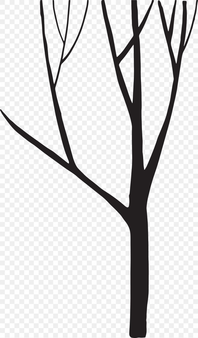 Black And White Silhouette Tree, PNG, 1091x1865px, Black And White, Black, Branch, Monochrome, Monochrome Photography Download Free