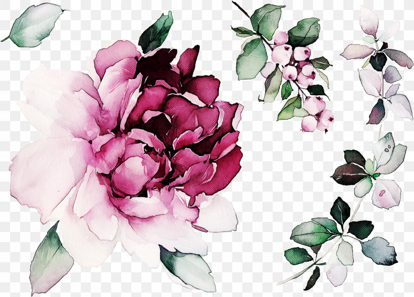 Floral Design, PNG, 1777x1278px, Flower, Chinese Peony, Floral Design, Leaf, Magnolia Download Free