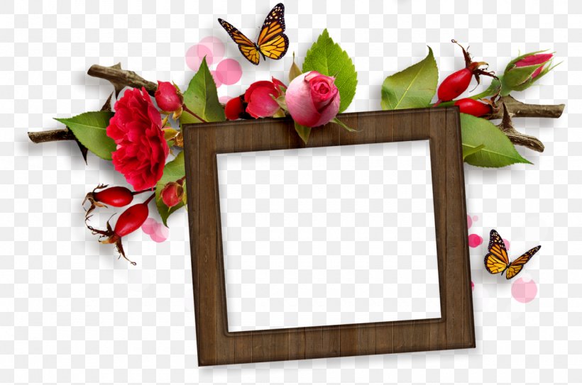 Flower Picture Frames Floral Design Garden Roses, PNG, 1280x849px, Flower, Email, Floral Design, Garden, Garden Roses Download Free