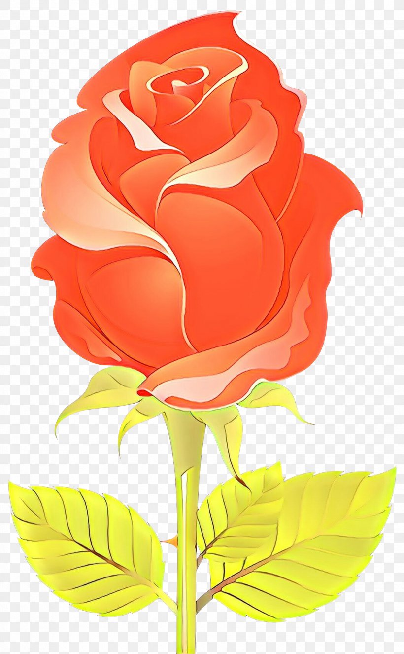 Garden Roses, PNG, 1856x3000px, Cartoon, Flower, Garden Roses, Orange, Petal Download Free