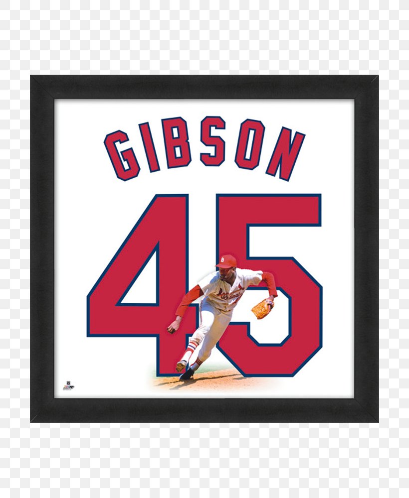 St. Louis Cardinals Recreation Brand Autograph, PNG, 700x1000px, St Louis Cardinals, Area, Autograph, Bob Gibson, Brand Download Free