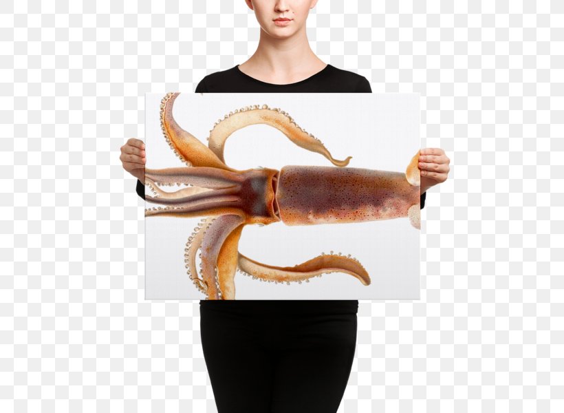 Colossal Squid Cephalopod Octopus The Dream Of The Fisherman's Wife, PNG, 600x600px, Squid, Animal, Arm, Art, Canvas Download Free