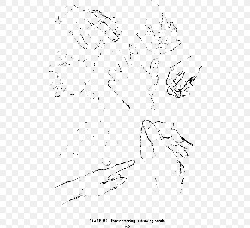 Drawing The Head And Hands Art Sketch, PNG, 509x750px, Drawing The Head And Hands, Andrew Loomis, Area, Art, Art School Download Free