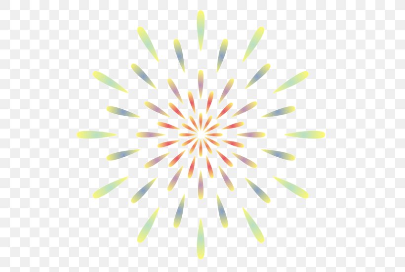 Fireworks, PNG, 550x550px, Fireworks, Cartoon, Drawing, Flower, Logo Download Free