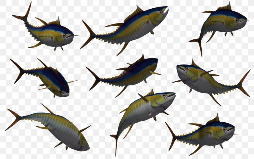 Fish Yellowfin Tuna Clip Art, PNG, 1024x645px, Fish, Bony Fish, Drawing, Fauna, Fishing Download Free