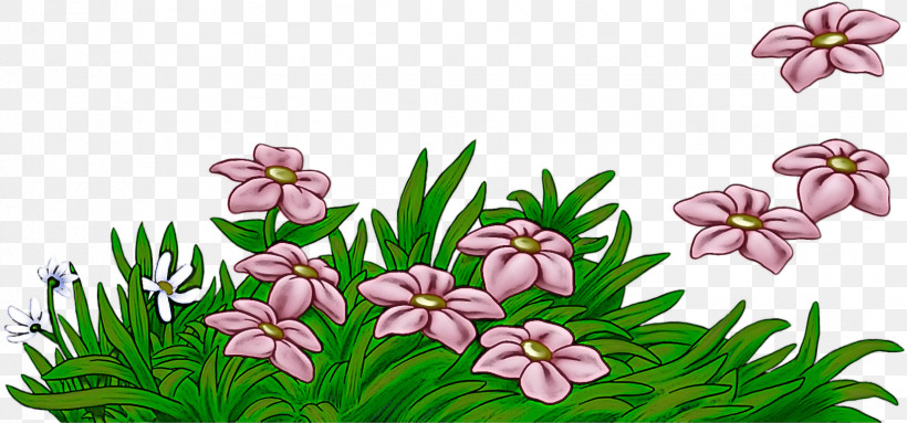 Flower Plant Pink Grass Petal, PNG, 1651x773px, Flower, Grass, Petal, Pink, Plant Download Free