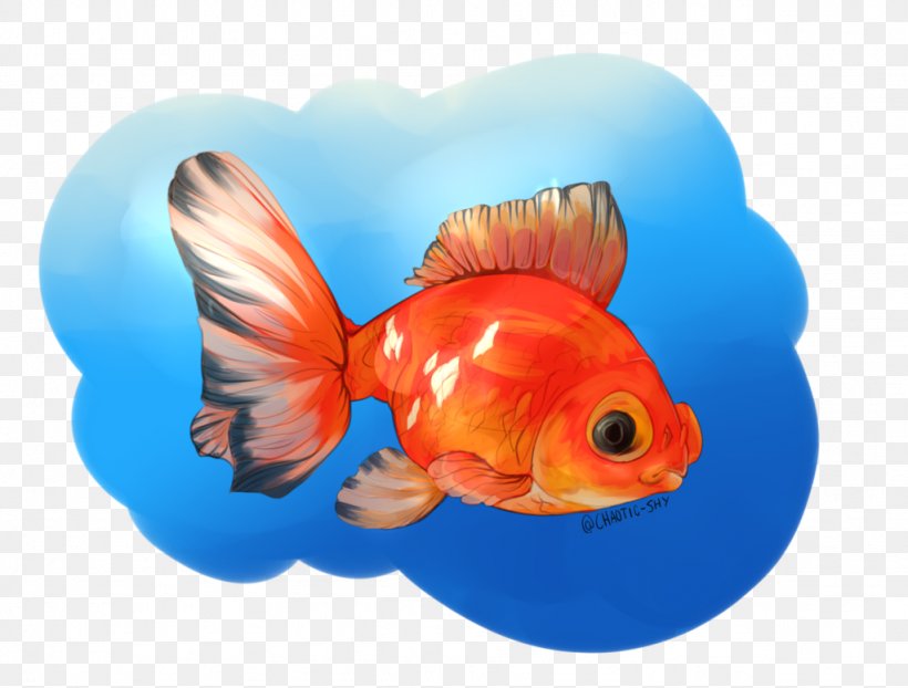 Goldfish Feeder Fish Fin Marine Biology, PNG, 1024x777px, Goldfish, Biology, Bonyfish, Feeder Fish, Fin Download Free