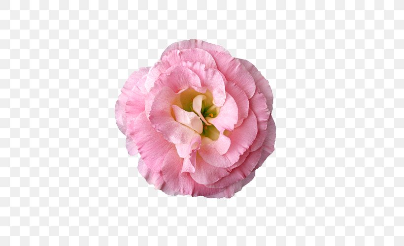 Handicraft Art Idea, PNG, 500x500px, Handicraft, Art, Askartelu, Cabbage Rose, Craft Download Free