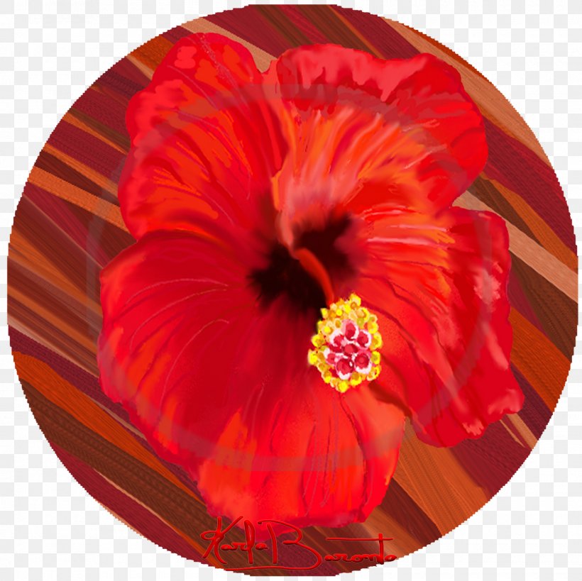 Hibiscus Chinese Cuisine Annual Plant, PNG, 1600x1600px, Hibiscus, Annual Plant, China Rose, Chinese Cuisine, Flower Download Free