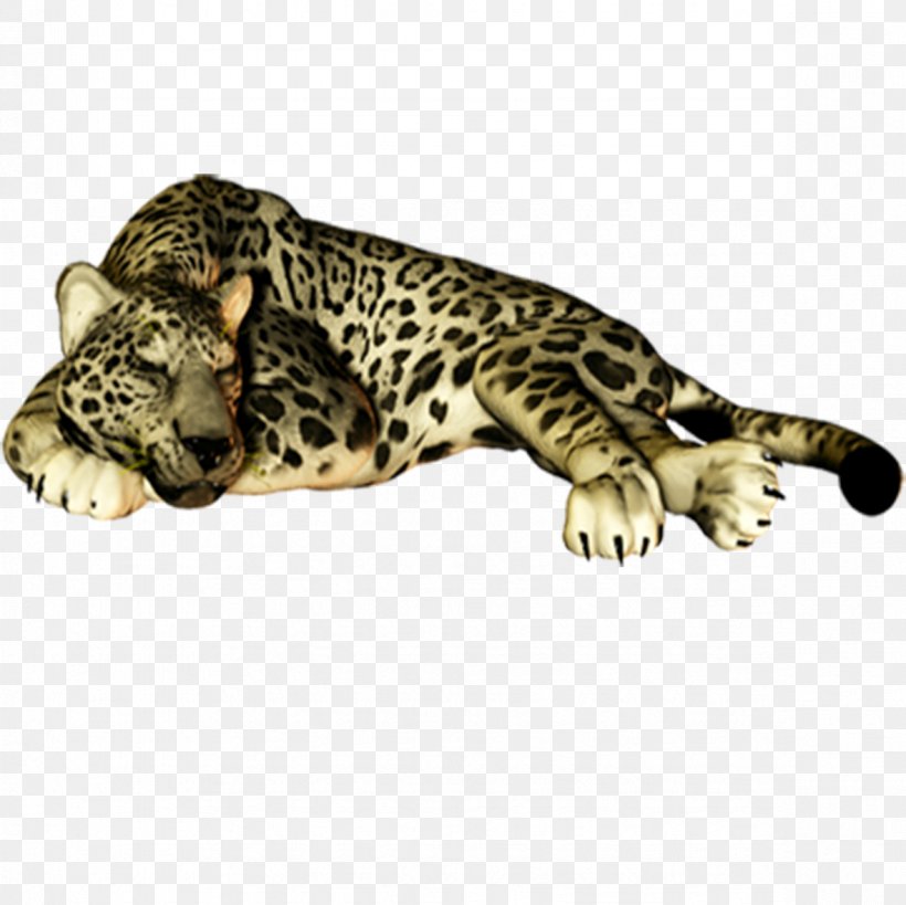 Leopard Felidae Cheetah Jaguar Cat, PNG, 1181x1181px, Leopard, Animal, Big Cats, Carnivoran, Cartoon Download Free