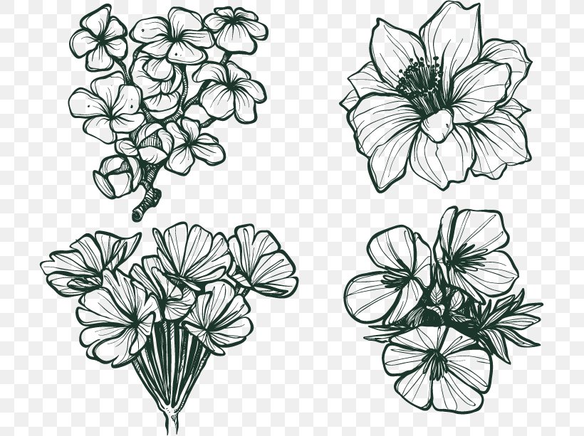 Flower Euclidean Vector Winter Cold Snow, PNG, 709x613px, Flower, Black And White, Cold, Creative Arts, Cut Flowers Download Free