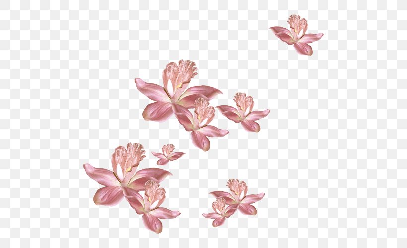 Flower Pink Petal Garden Roses Animation, PNG, 500x500px, Flower, Animation, Blossom, Cherry Blossom, Flora Download Free