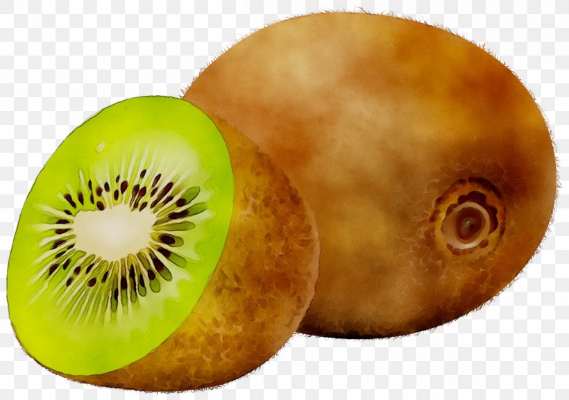 Kiwifruit, PNG, 1201x844px, Kiwifruit, Food, Fruit, Kiwi, Plant Download Free