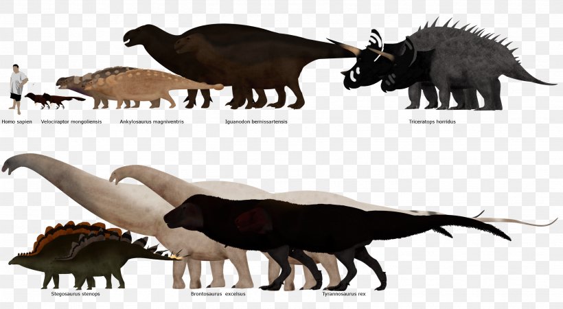 Tyrannosaurus Triceratops Stegosaurus Ankylosaurus Edmontosaurus, PNG, 3427x1884px, Tyrannosaurus, Animal, Ankylosaurus, Apatosaurus, Brontosaurus Download Free