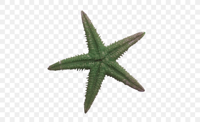 Starfish Blue Sea Star Ochre Sea Star, PNG, 500x500px, Starfish, Blue, Blue Sea Star, Color, Echinoderm Download Free