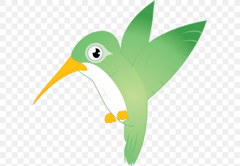 Bird Beak Cartoon Clip Art, PNG, 595x567px, Bird, Animal, Beak, Cartoon, Fauna Download Free