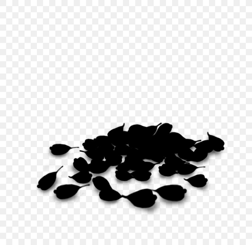 Black & White, PNG, 800x800px, Black White M, Black, Black M, Logo, Plant Download Free
