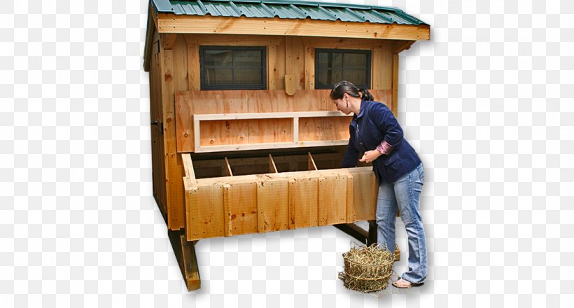 Chicken Coop Nest Box Wood Stain, PNG, 1073x576px, Chicken, Box, Chicken Coop, Door, Egg Download Free
