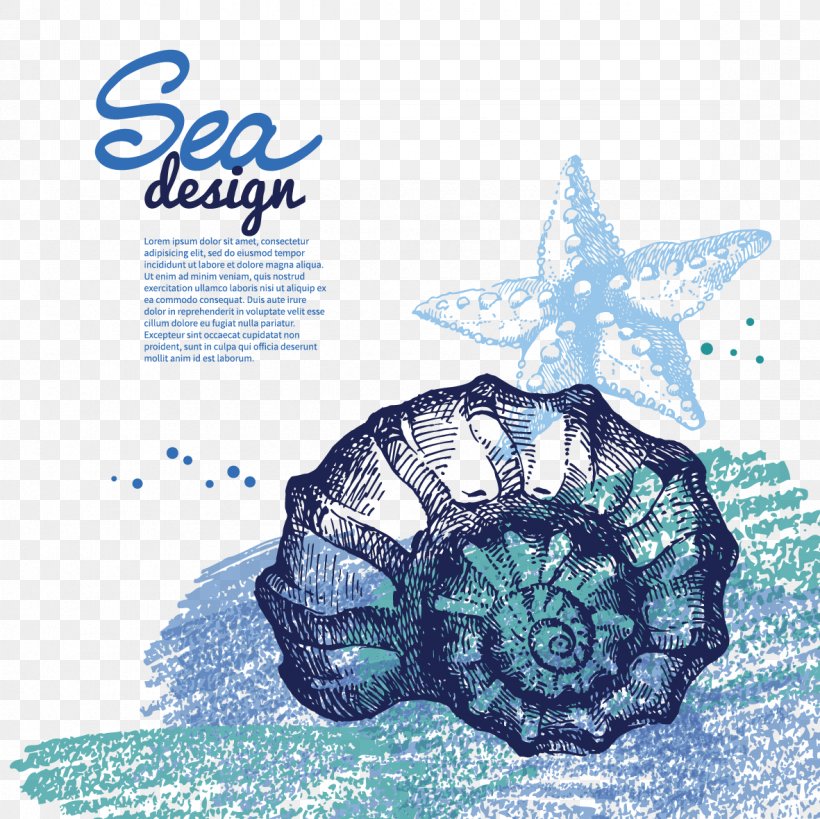 Drawing Seashell Clip Art, PNG, 1181x1181px, Drawing, Organism, Photography, Royaltyfree, Seashell Download Free