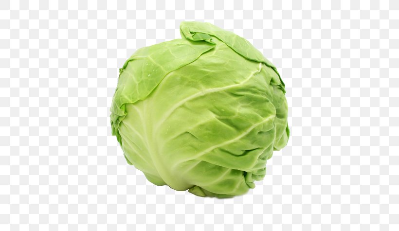 Capitata Group Savoy Cabbage Chinese Cabbage Leaf Vegetable, PNG, 500x475px, Capitata Group, Brassica Oleracea, Cabbage, Carrot, Cauliflower Download Free