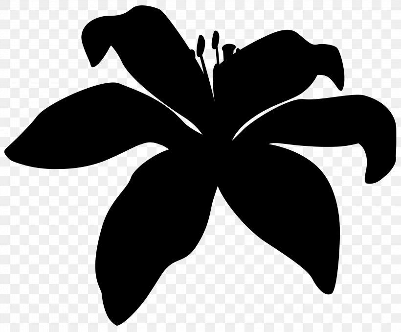 Clip Art Leaf Plant Stem Silhouette Flowering Plant, PNG, 3000x2484px, Leaf, Black, Blackandwhite, Botany, Daylily Download Free